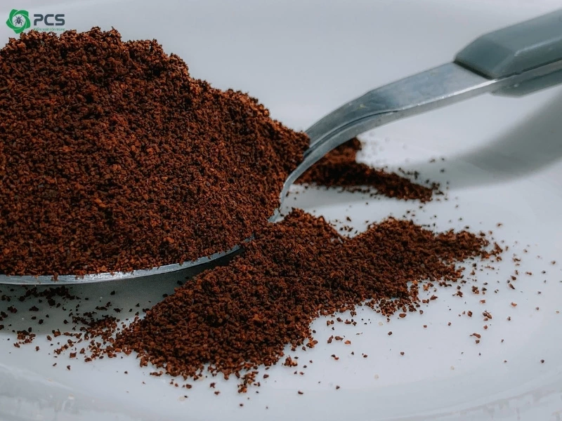 Cách bẫy gián